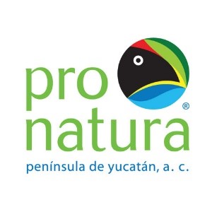 Logo Pronatura Yucatán 