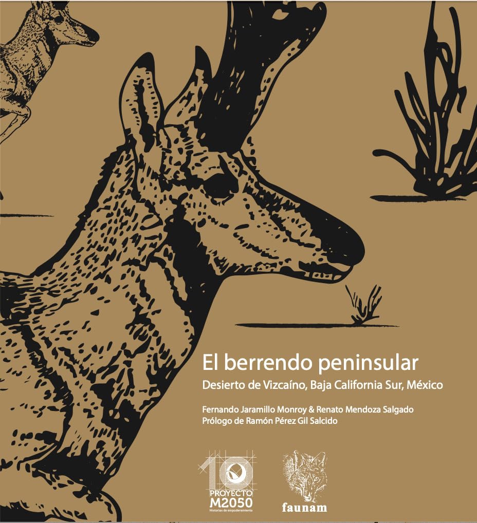 Del Borde de la Extinción a un Triunfo Inédito: Se Anuncia el Libro Que Revela la Asombrosa historia Recuperación del Berrendo Peninsular.