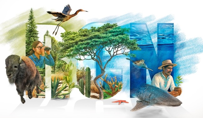 CONANP tiene abierta la convocatoria para participar en el “Reconocimiento a la Conservación de la Naturaleza 2025”