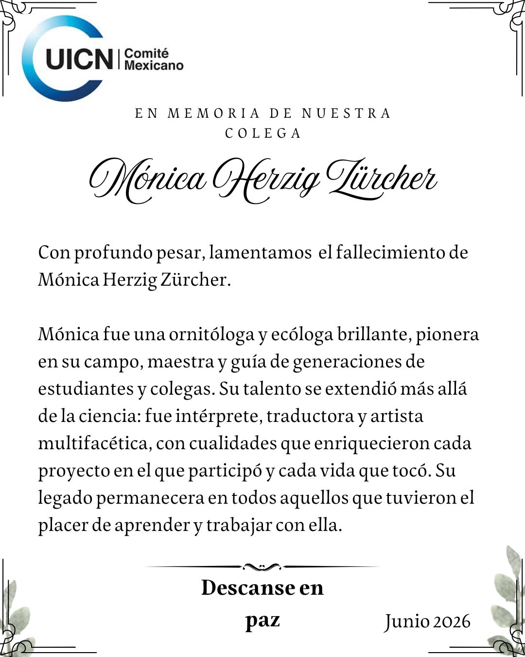 Fallece Mónica Herzig Zürcher: talentosa ornitóloga y ecóloga pionera en su campo.